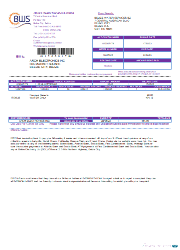 Download Belize Water Services Limited utility business bill, SCR Photoshop template